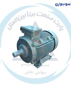 الکتروموتور موتوژن سه فاز صنعتی با بدنه چدنی