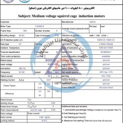 الکتروموتور YJS جمکو 800kw1000rpm - تصویر 3