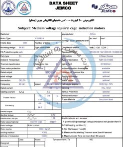 الکتروموتور YJS جمکو 900kw1000rpm - تصویر 3