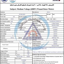 الکتروموتور YR جمکو 250kw750rpm - تصویر 3