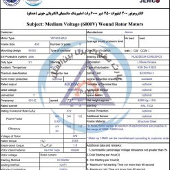 الکتروموتور YR جمکو 400kw750rpm - تصویر 3