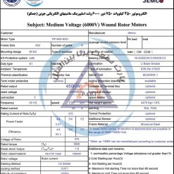 الکتروموتور YR جمکو 450kw750rpm - تصویر 3