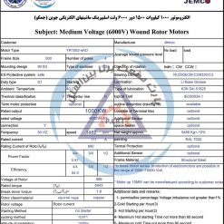 الکتروموتور YR جمکو 1000kw1500rpm - تصویر 3