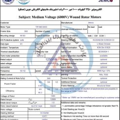 الکتروموتور YR جمکو 1250kw1000rpm - تصویر 3