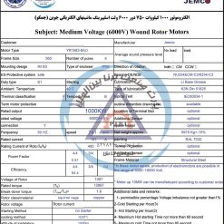 الکتروموتور YR جمکو 1000kw750rpm - تصویر 3